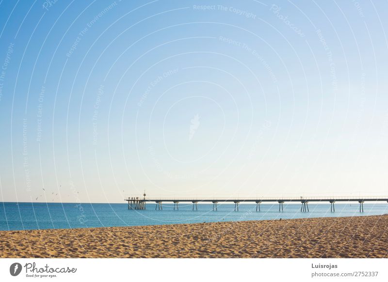 Maritime footbridge over the sea a sunny day Joy Calm Playing Ocean Sports Nature Landscape Sand Water Sky Sun Spring Summer Beautiful weather Warmth Bridge