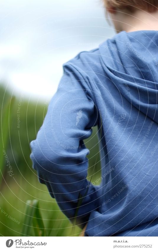 blue Child Boy (child) Brother 1 Human being 8 - 13 years Infancy Grass Dream Sadness Authentic Blue Moody Colour photo Exterior shot Day