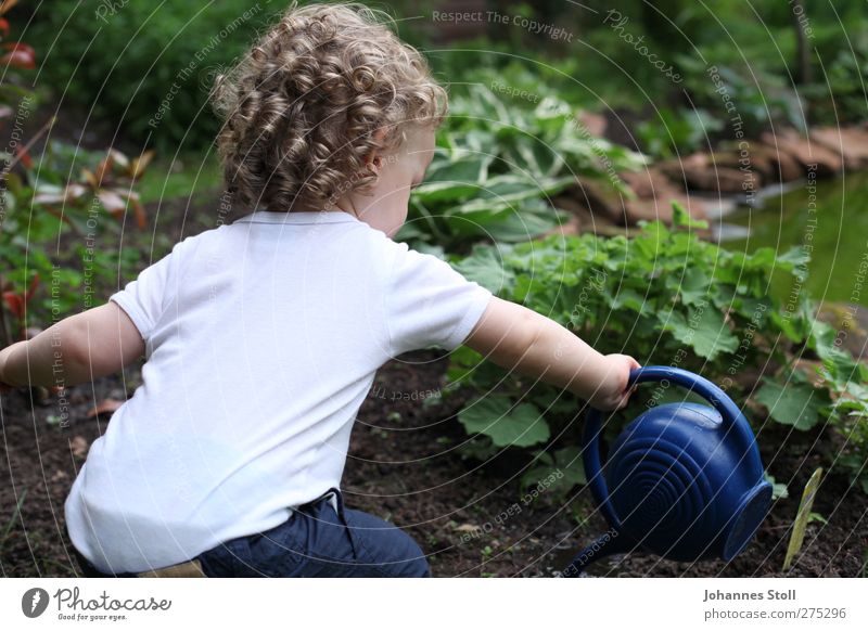 flower child Garden Parenting Kindergarten Child Gardening Toddler Boy (child) Hair and hairstyles 1 Human being 1 - 3 years Nature Plant Agricultural crop