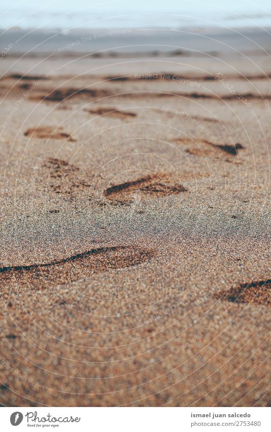 footprints on the sand Beach Sand Footprint Coast Exterior shot Nature Landscape background Calm Serene silence Relaxation romantic Bilbao Spain