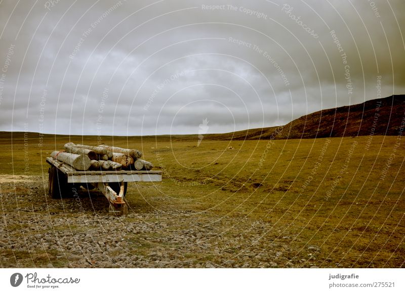 Iceland Environment Nature Landscape Earth Sky Clouds Climate Rock Mountain Logistics Trailer Wood Calm Far-off places Driftwood Colour photo Subdued colour