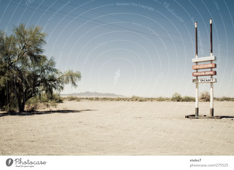 vacancy Sand Cloudless sky Beautiful weather Warmth Drought Tree Desert Gloomy Dry Blue Red Signs and labeling Advertising Highway Uninhabited Subdued colour