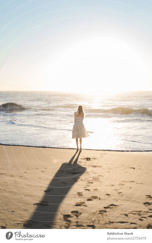 Wonderful tender bride in sunlight Woman Bride Happiness Beach Portrait photograph Cheerful human face seaside Dress in love seascape Blonde Engagement Sun