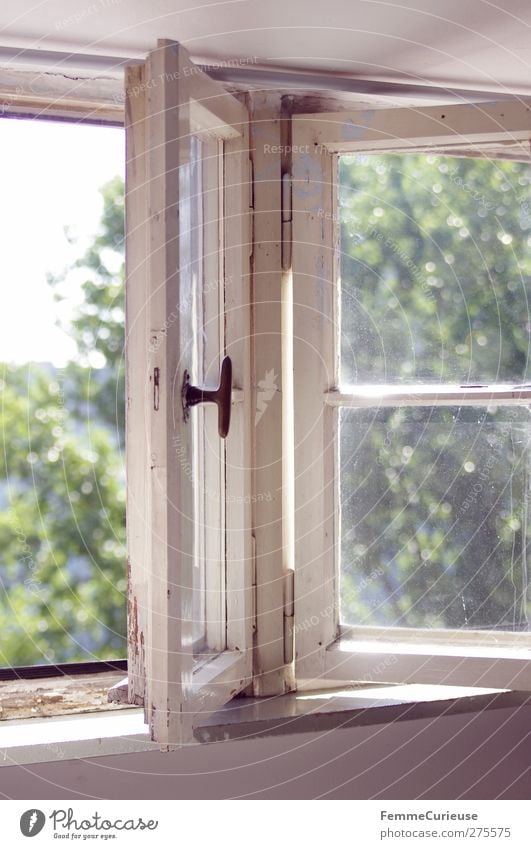 What a beautiful day... House (Residential Structure) Detached house Hut Relaxation Attic story Window Open Old Half-timbered house Wooden window White Garden