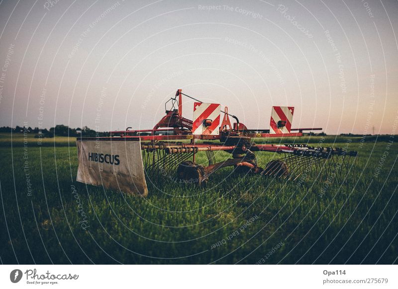 windrower Environment Nature Landscape Plant Animal Summer Beautiful weather Agricultural crop Meadow Field Wait Blue Multicoloured Green Red "Work Agriculture