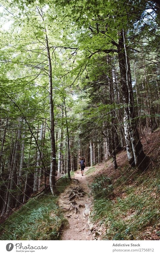 Man hiking in forest Tourist Forest Hiking Vacation & Travel Nature Adventure Lanes & trails Trip Human being Lifestyle Tourism Leisure and hobbies trekking