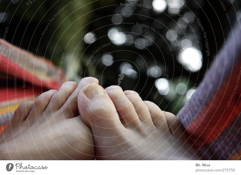 loll about Garden Masculine Skin Feet 1 Human being Environment Summer Contentment Calm Hammock Toes Relaxation chill Toenail Break Slouch Barefoot Weekend