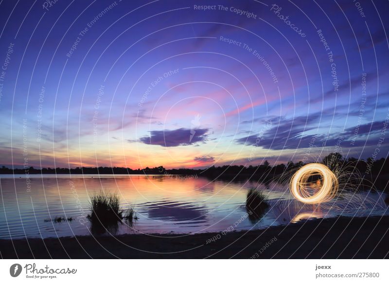 ring light Nature Sky Summer Lake Blue Yellow Violet Orange Black Colour photo Multicoloured Exterior shot Evening Twilight Reflection Deep depth of field