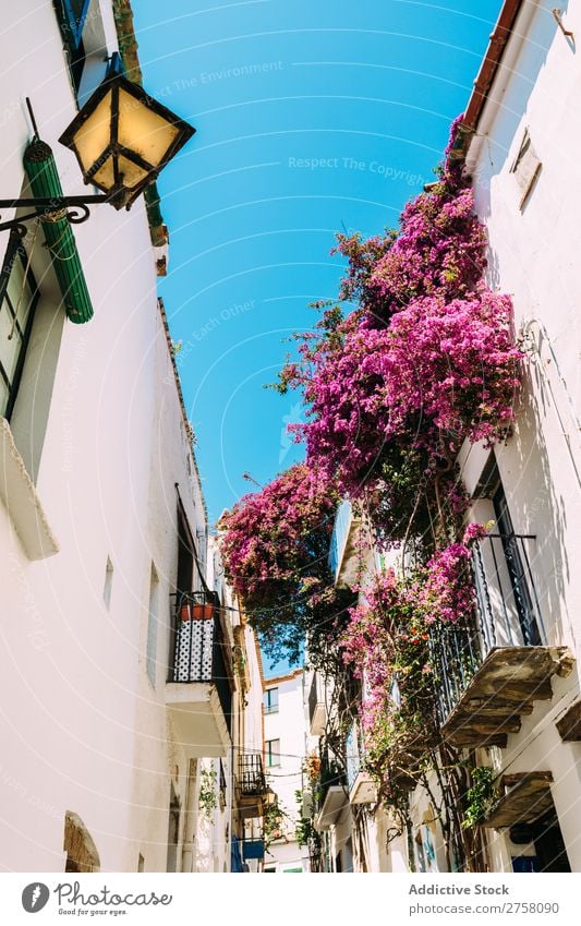 Rural streets in Cadaques, Spain costa brava cadaques spain catalonia rural white mediterranean village traveleurope spanish famous summer sky architecture view