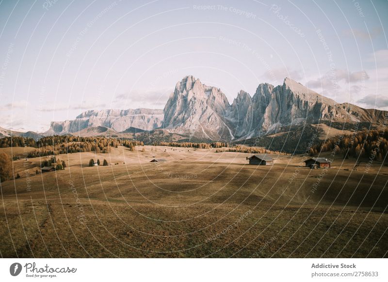 Dry field with houses and peaks Valley Field House (Residential Structure) Small Hill Mountain Nature Landscape Vacation & Travel Beautiful Vantage point Summer