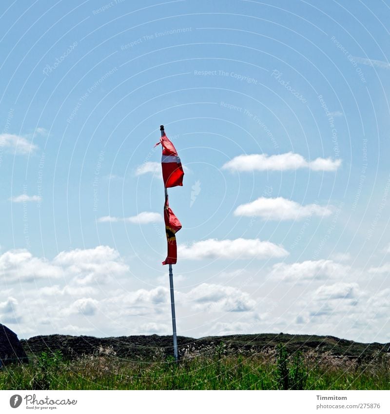 mødested Vacation & Travel Environment Nature Plant Sky Clouds Summer Beautiful weather Grass Hill Dune Denmark Hang Blue Green Red White Joy Flag Flagpole Blow