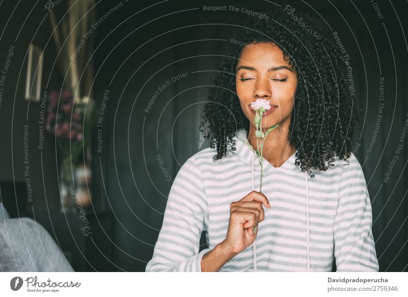 close up of a pretty black woman with curly hair smelling a rose flower sit on bed Woman Bed Portrait photograph Close-up Flower Rose Sit Love in love Black