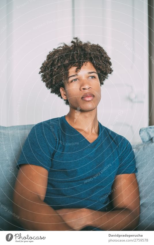 Portrait of a young thoughtful mixed race man sitting in the sofa Man Black Youth (Young adults) Portrait photograph Human being Mixed Racing sports American