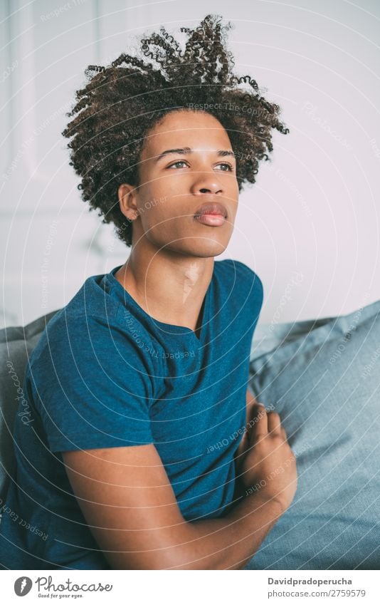 Portrait of a young thoughtful mixed race man sitting in the sofa Man Black Youth (Young adults) Portrait photograph Human being Mixed Racing sports American