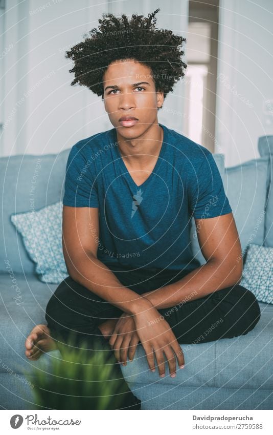 Portrait of a young thoughtful mixed race man sitting in the sofa Man Black Youth (Young adults) Portrait photograph Human being Mixed Racing sports American