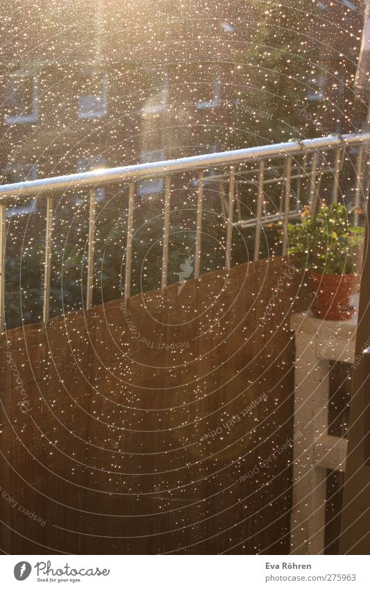 Golden Summer Rain Living or residing Flat (apartment) Balcony Balcony plant French windows Drops of water Sunrise Sunset Sunlight Weather Beautiful weather