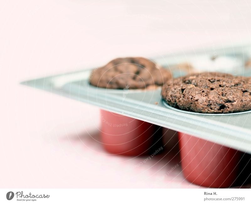 In the bakery Dough Baked goods Cake Muffin Delicious Sweet Baking tin Chocolate Colour photo Deserted Shallow depth of field