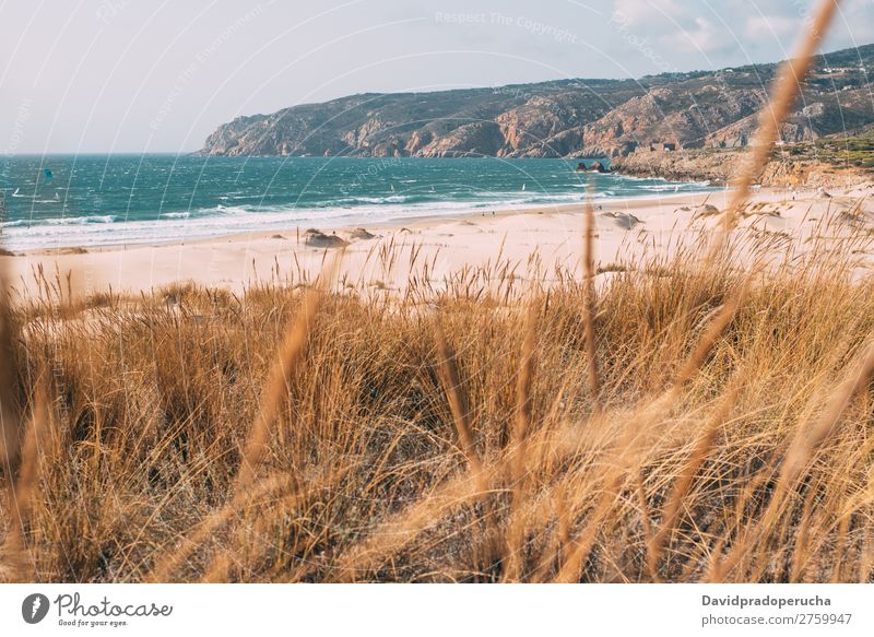 Beautiful beach in Portugal Beach Sand Ocean Sun Vacation & Travel Nature Gold Summer Tropical pretty Landscape Lifestyle Exterior shot Coast Loneliness Dune