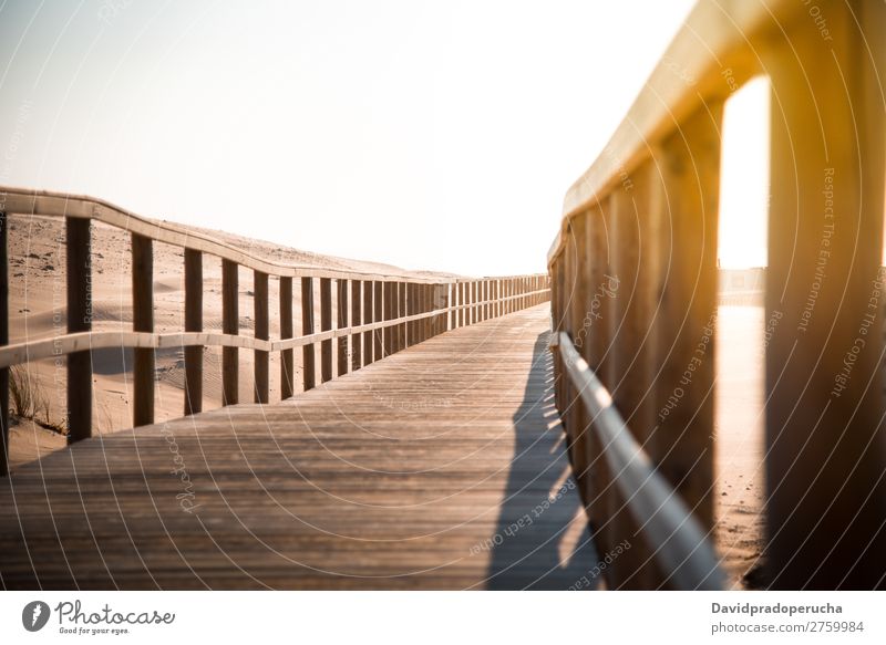 wooden foot bridge in the beach Background picture Beach Bridge Coast Destination Feet Vacation & Travel Natural Nature Ocean Exterior shot Lanes & trails Sand