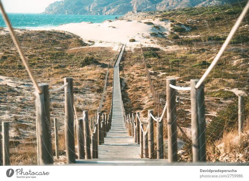 wooden foot bridge in the beach Background picture Beach Bridge Coast Destination Feet Vacation & Travel Natural Nature Ocean Exterior shot Lanes & trails Sand