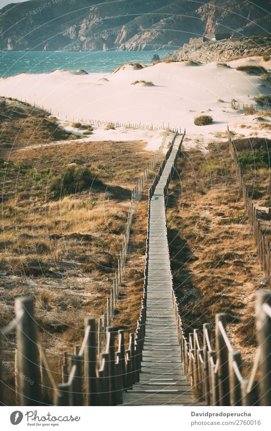 wooden foot bridge by the beach Background picture Beach Bridge Coast Destination Feet Vacation & Travel Natural Nature Ocean Exterior shot Lanes & trails Sand