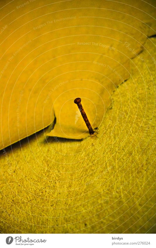 Rudimentary fastening technology Wall (barrier) Wall (building) Nail Old Authentic Broken Original Yellow Serene Unwavering Nostalgia Decline Transience Change