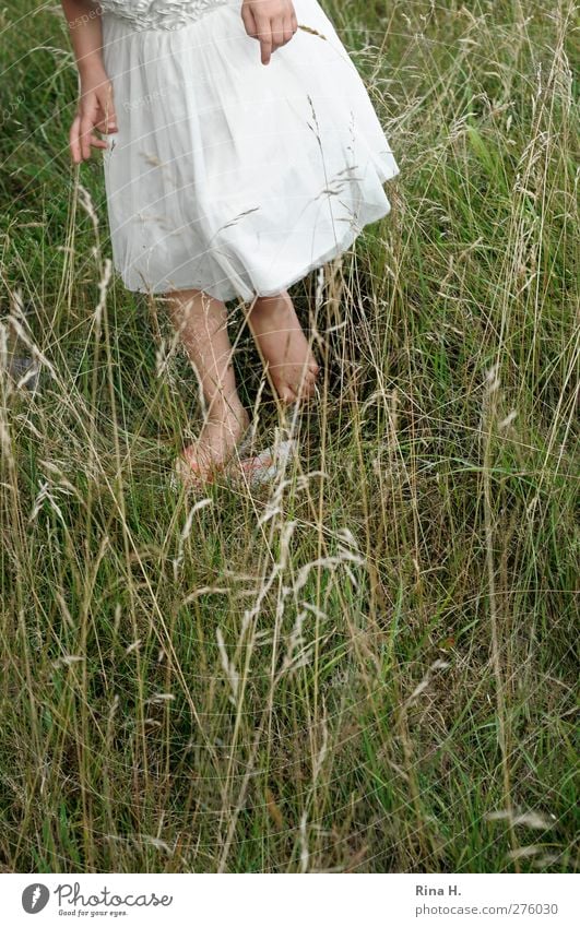 Where's the grasshopper? Girl 1 Human being 3 - 8 years Child Infancy Nature Summer Grass Meadow Dress Flip-flops Natural Green Colour photo Exterior shot