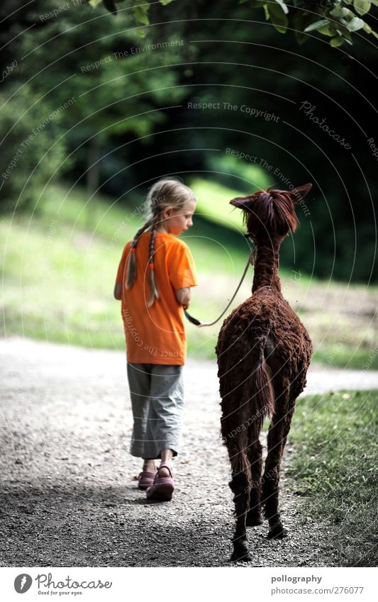 together in the distance Adventure Far-off places Freedom Summer vacation Human being Feminine Girl Life 1 8 - 13 years Child Infancy Nature Landscape Plant