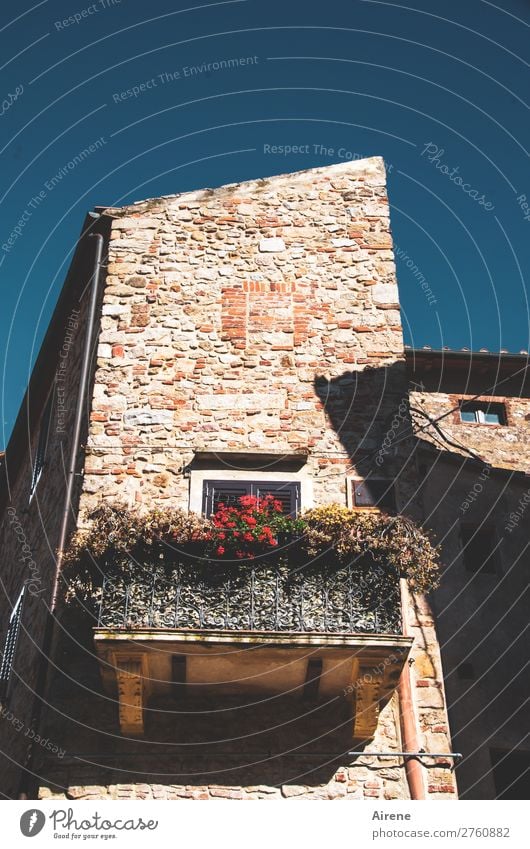 There's still life Cloudless sky Summer Climate change Beautiful weather Balcony plant Geranium Tuscany Village Small Town Old town