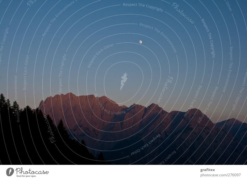 Lienzer Dolomites at sunset Landscape Sky Cloudless sky Night sky Moon Summer Beautiful weather Tree Forest Alps Mountain Peak Moody To console Calm