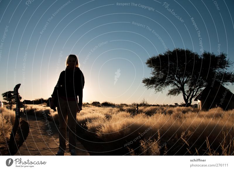 Let's go to Sundowner! Human being Feminine Young woman Youth (Young adults) Woman Adults 1 18 - 30 years Nature Landscape Sunrise Sunset Tree Grass Desert