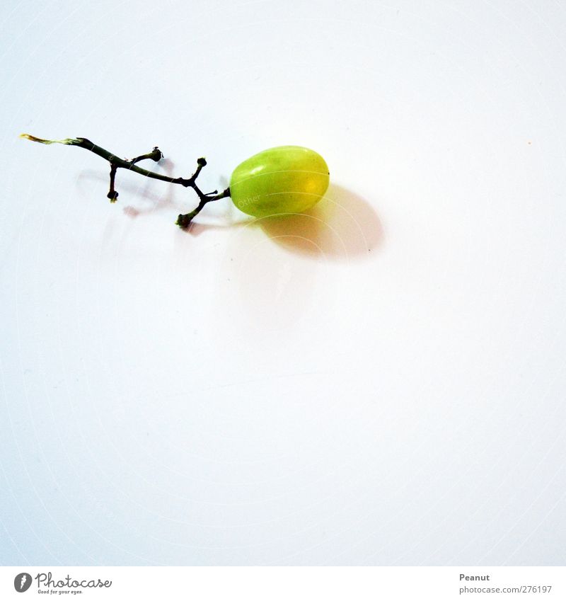 |Lizard. Food Fruit Bunch of grapes Animal Lizards Green White Abstract Colour photo Interior shot Detail Macro (Extreme close-up) Experimental Deserted