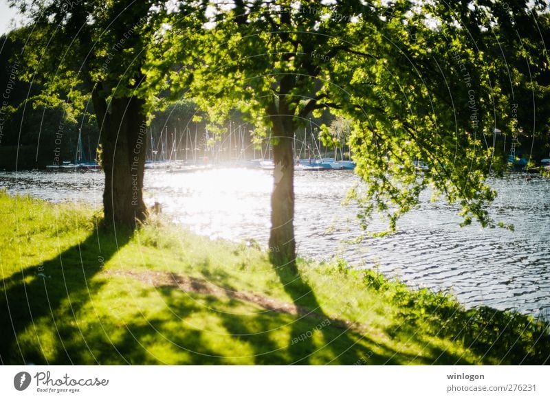 summer light Environment Nature Landscape Plant Water Sunlight Spring Summer Tree Grass Watercraft Harbour Jetty Beautiful weather Relaxation Moody Positive