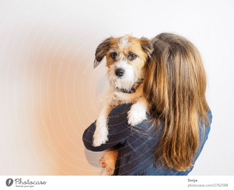 Dog On the arm of a young woman Young woman Youth (Young adults) 1 Human being 18 - 30 years Adults Red-haired Long-haired Animal Pet Animal face Paw Together