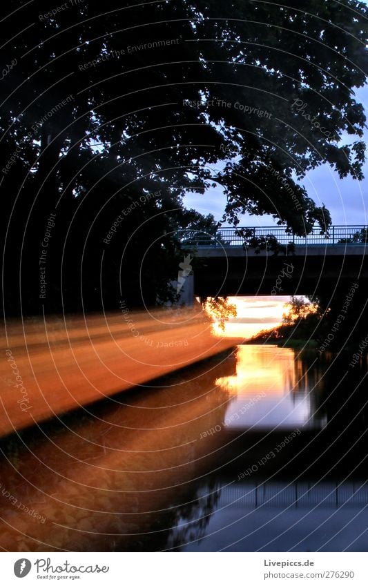 canal ray Nature Landscape Water Sky Clouds Sunrise Sunset Sunlight Summer Beautiful weather Plant Tree River bank Bridge Traffic infrastructure Illuminate