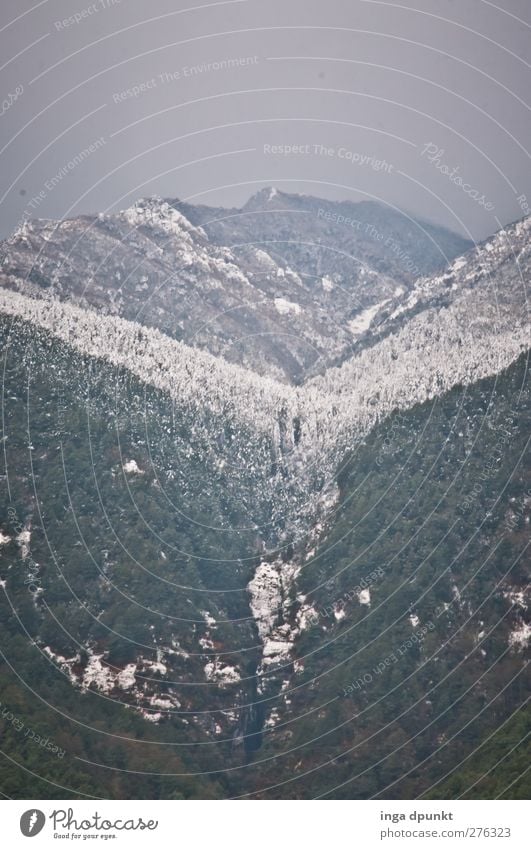 snow valley Environment Nature Landscape Plant Winter Bad weather Ice Frost Snow Tree Forest Snowfall limit Mountain Canyon China Yunnan Cold Climate Tourism