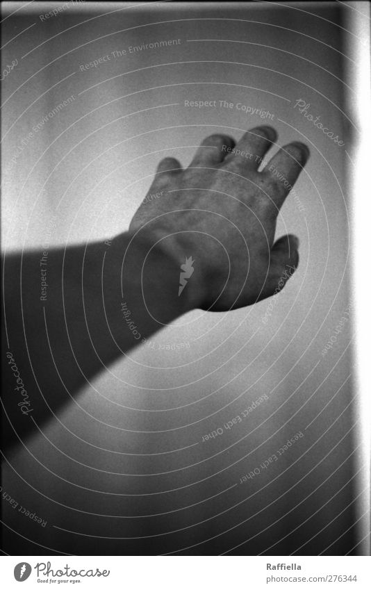 outstretched hand Feminine Arm Hand Door Curiosity Interest Outstretched Stretching Fingers Hand posture Grasp Against Sunbathing Imprint Black & white photo