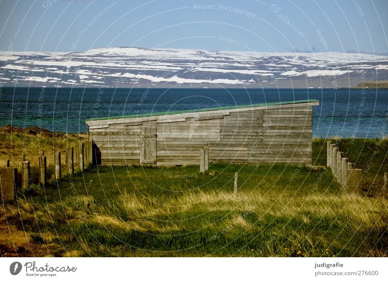 Iceland Environment Nature Landscape Plant Water Sky Climate Hill Mountain Snowcapped peak Fjord Westfjord House (Residential Structure) Hut Building Natural