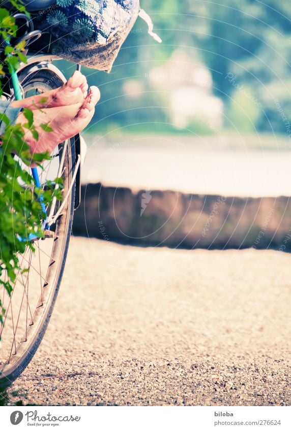 summer holidays Lifestyle Happy Well-being Relaxation Calm Reading Trip Cycling tour Summer Summer vacation Sun Sunbathing Beach Feet Brown Green Wheel Bicycle