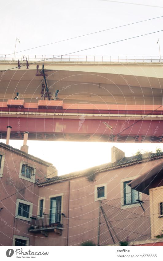 under the bridge Lisbon House (Residential Structure) Wall (barrier) Wall (building) Bridge Exceptional Town Colour photo Multicoloured Exterior shot