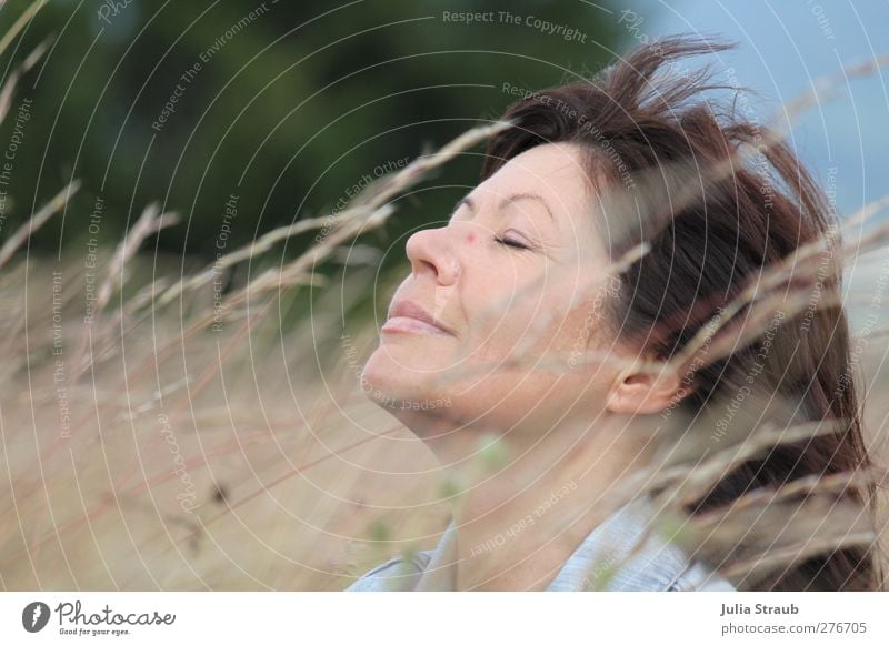 rest Human being Feminine Woman Adults Head Hair and hairstyles 1 30 - 45 years Summer Wind Grass Bushes Meadow Rhoen Jeans jacket Brunette Long-haired Bangs