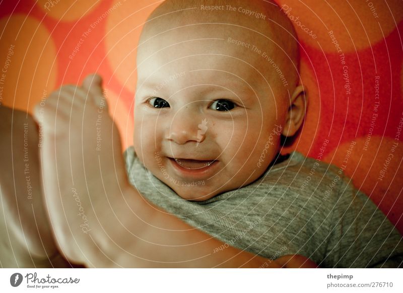 sweet little baby Baby Head Face 1 Human being 0 - 12 months Authentic Happiness Cute Gray Orange Joy Happy Contentment Joie de vivre (Vitality) Ease