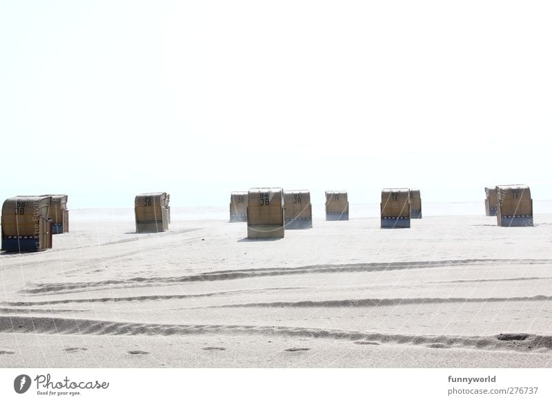 A group of beach chairs on the beach Beach chair Vacation & Travel Summer Summer vacation Sun Sunbathing Ocean Sand Water Sky Beautiful weather coast Baltic Sea