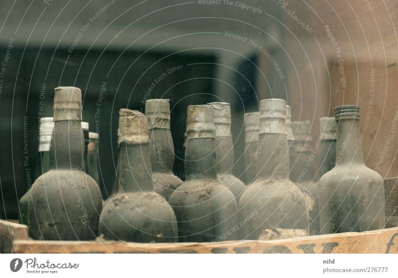 bottlenecks Shop window Restaurant Bar Cocktail bar Bottle Neck of a bottle Dusty Bottle of wine Spirits Glass Old Ancient Whiskey 12 Expensive Precious