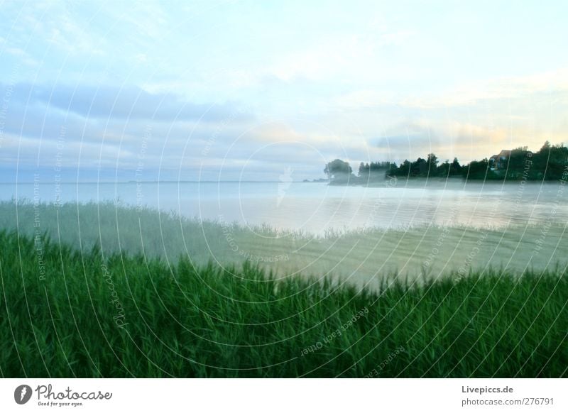 I think it's dawn, yeah. Vacation & Travel Trip Summer vacation Island Nature Landscape Plant Air Water Sky Clouds Sunrise Sunset Grass Foliage plant