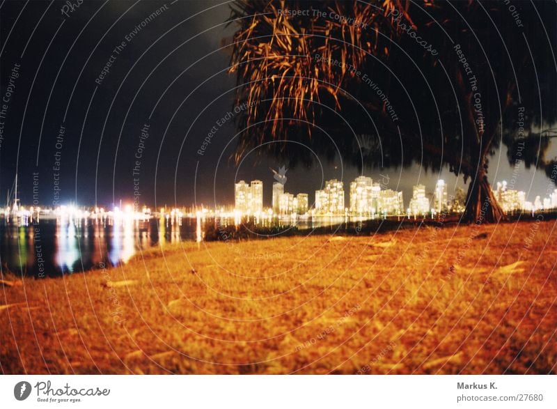 Surfers Paradise Long exposure Australia Tree Town Night Park Skyline