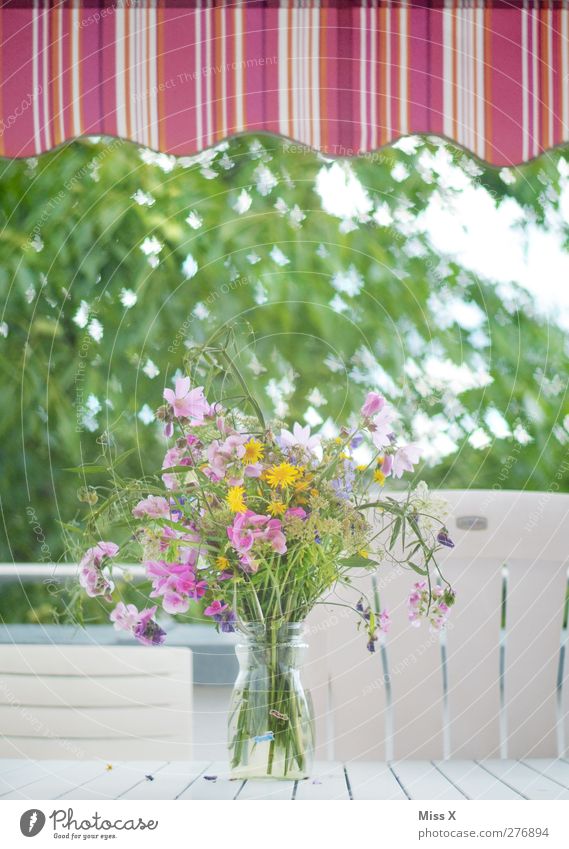 summer place Chair Table Spring Summer Flower Balcony Terrace Garden Butterfly Flock Blossoming Fragrance Flying Pink Bouquet Flower vase Sun blind Blur