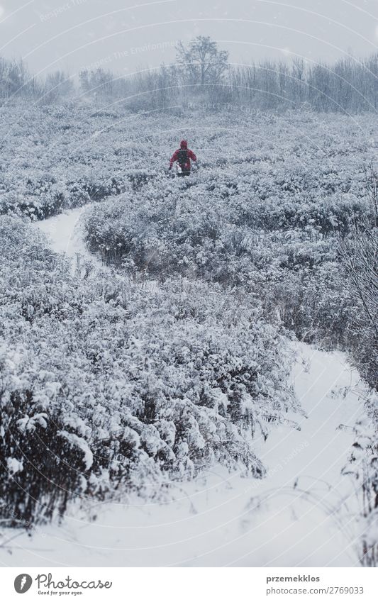 Man jogging through meadow pathway during heavy snowing Lifestyle Relaxation Leisure and hobbies Winter Snow Sports Jogging Human being Boy (child) Adults