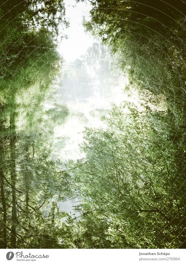 mirrored Environment Nature Plant Water Sky Tree Esthetic Emotions Contentment Forest River Lake Mirror image Reflection Unclear River bank Idyll