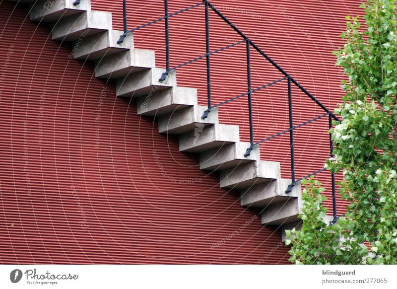 Stairway Tree Leaf Town Deserted House (Residential Structure) Manmade structures Building Architecture Wall (barrier) Wall (building) Stairs Facade Stone